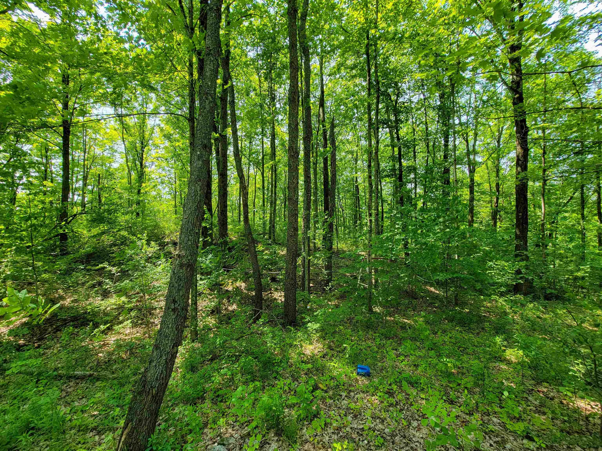 21 Nickerson Road Brandon VT 05733