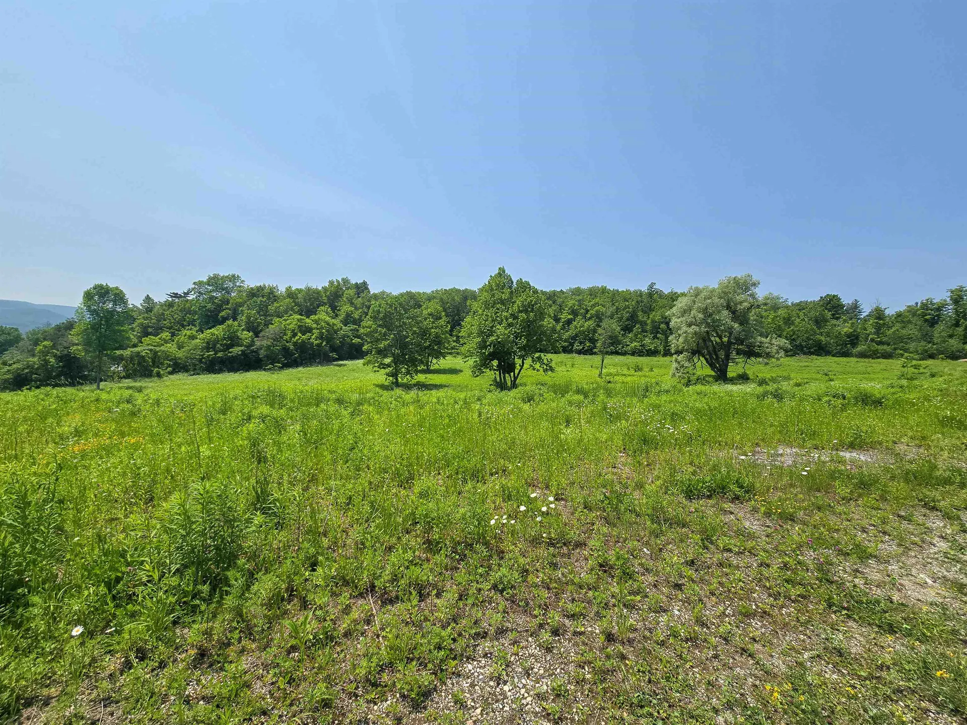 21 Nickerson Road Brandon VT 05733