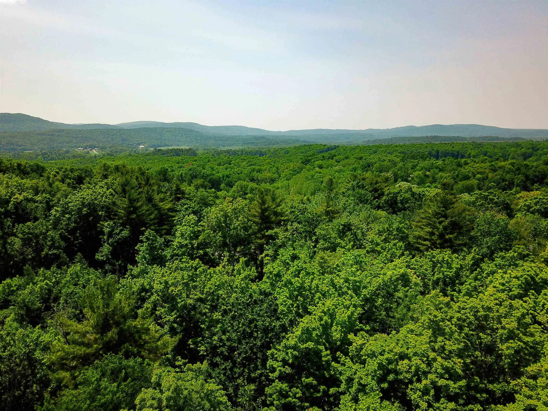 21 Nickerson Road Brandon VT 05733