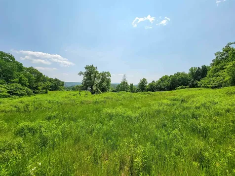 21 Nickerson Road Brandon VT 05733