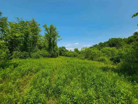 21 Nickerson Road Brandon VT 05733