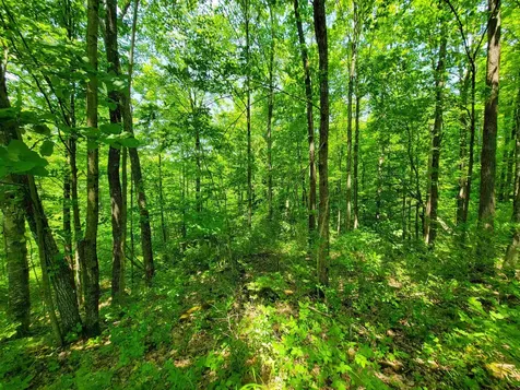 21 Nickerson Road Brandon VT 05733