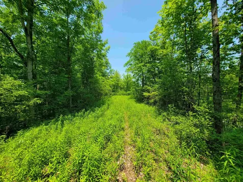 21 Nickerson Road Brandon VT 05733