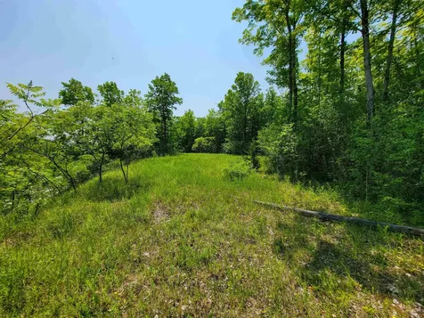 21 Nickerson Road Brandon VT 05733