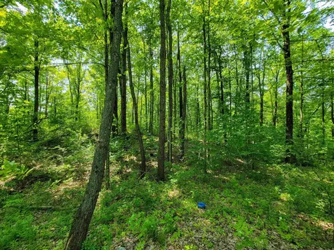 21 Nickerson Road Brandon VT 05733