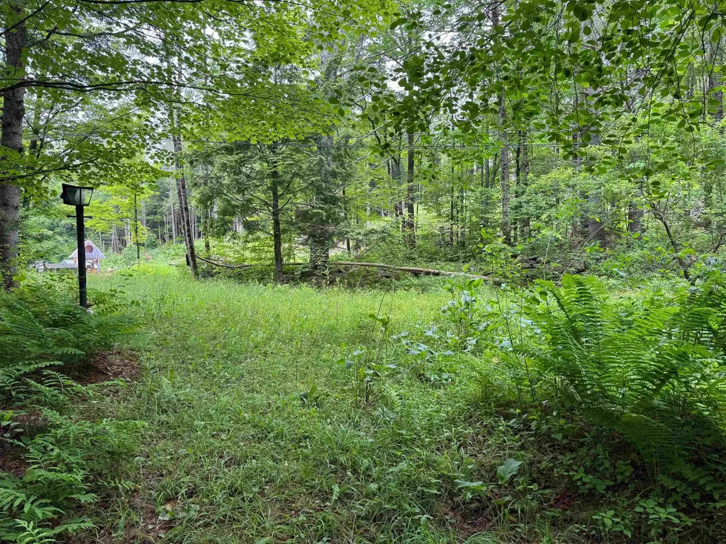 8 Brickyard Road Dover VT 05341