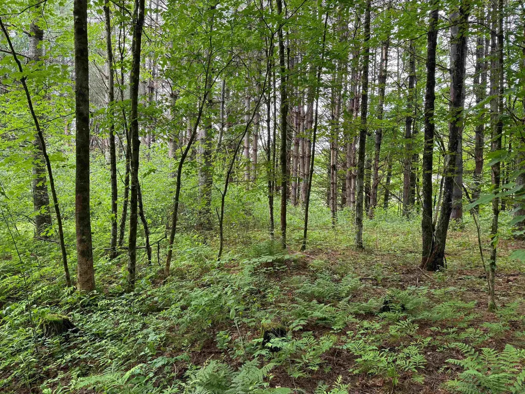 8 Brickyard Road Dover VT 05341