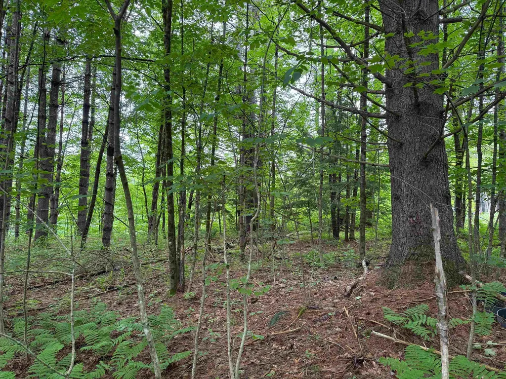 8 Brickyard Road Dover VT 05341