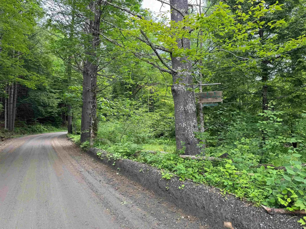 8 Brickyard Road Dover VT 05341