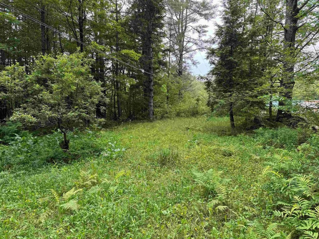 8 Brickyard Road Dover VT 05341