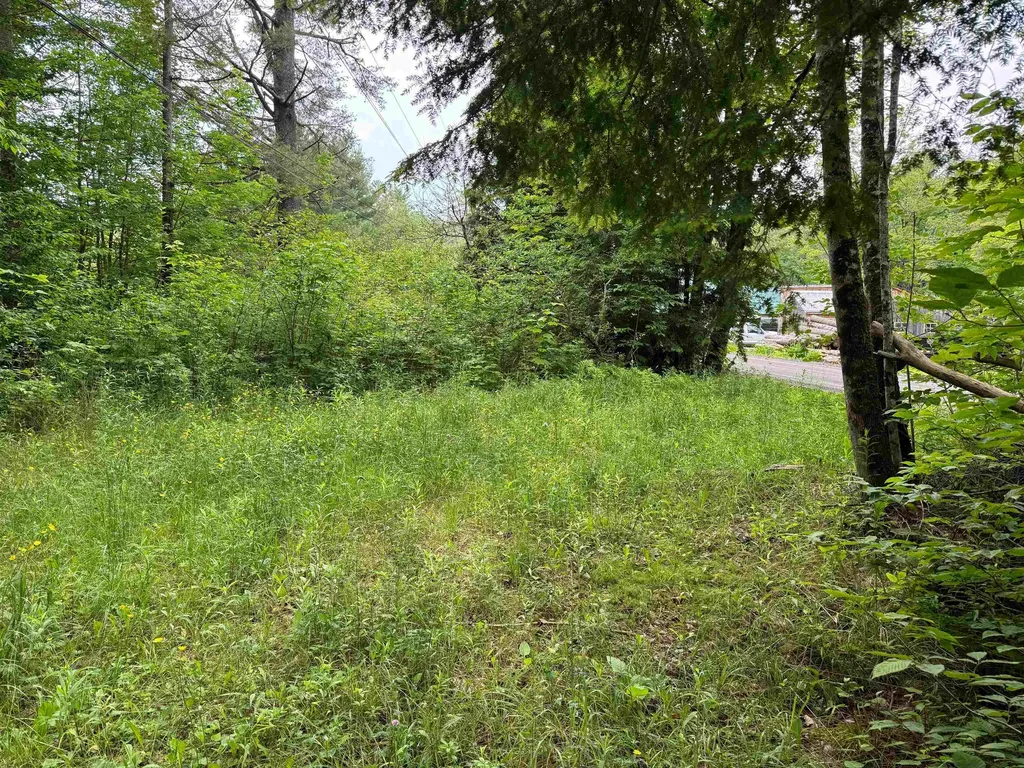 8 Brickyard Road Dover VT 05341