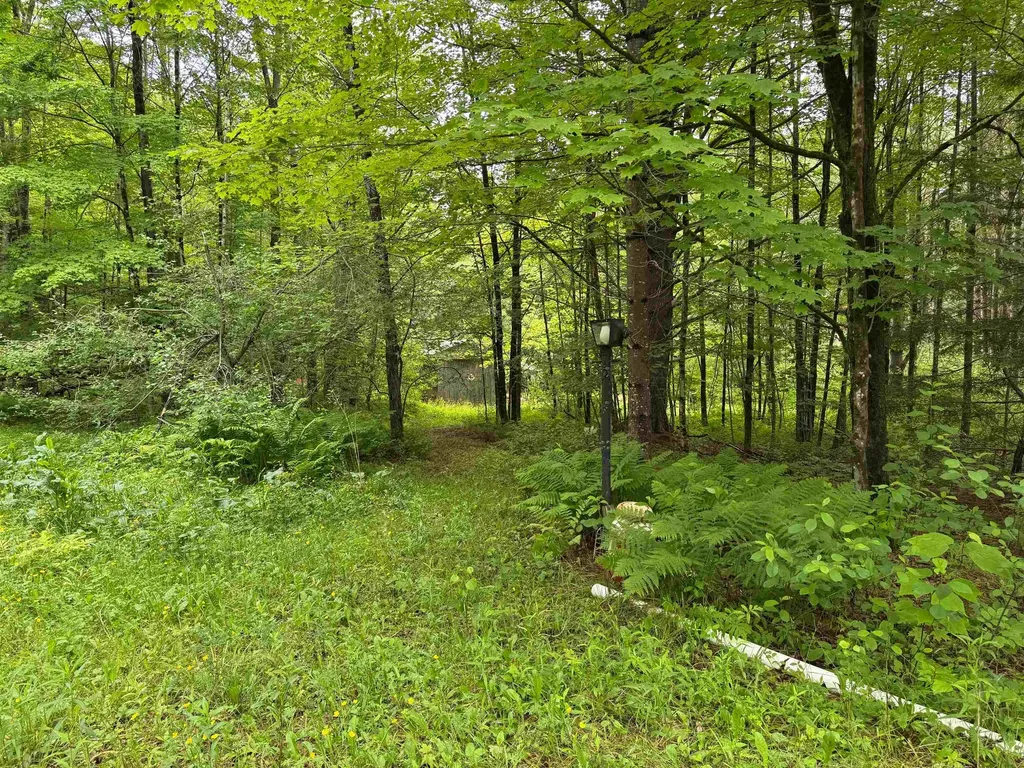 8 Brickyard Road Dover VT 05341