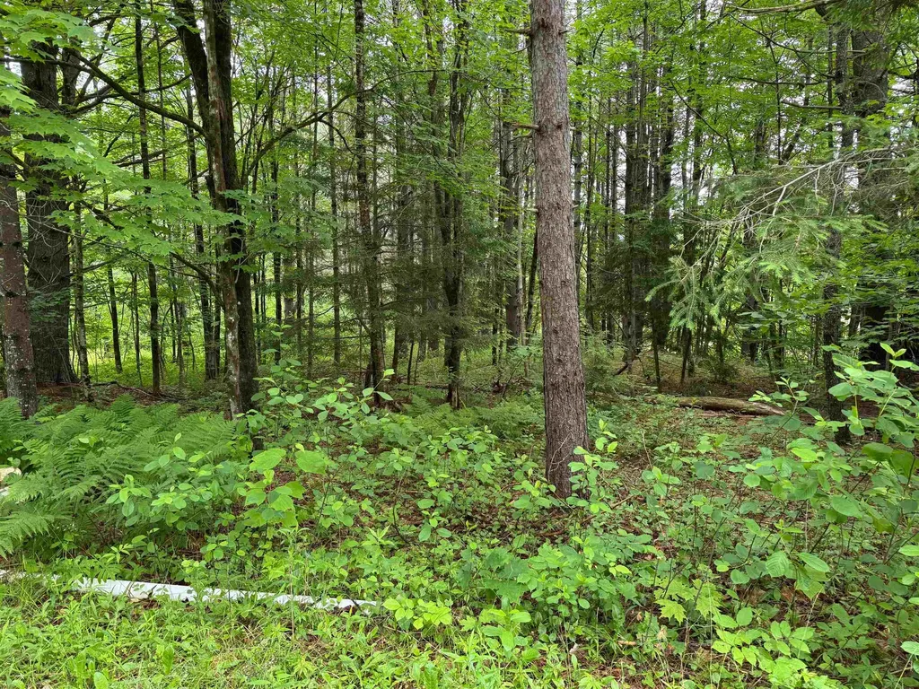 8 Brickyard Road Dover VT 05341