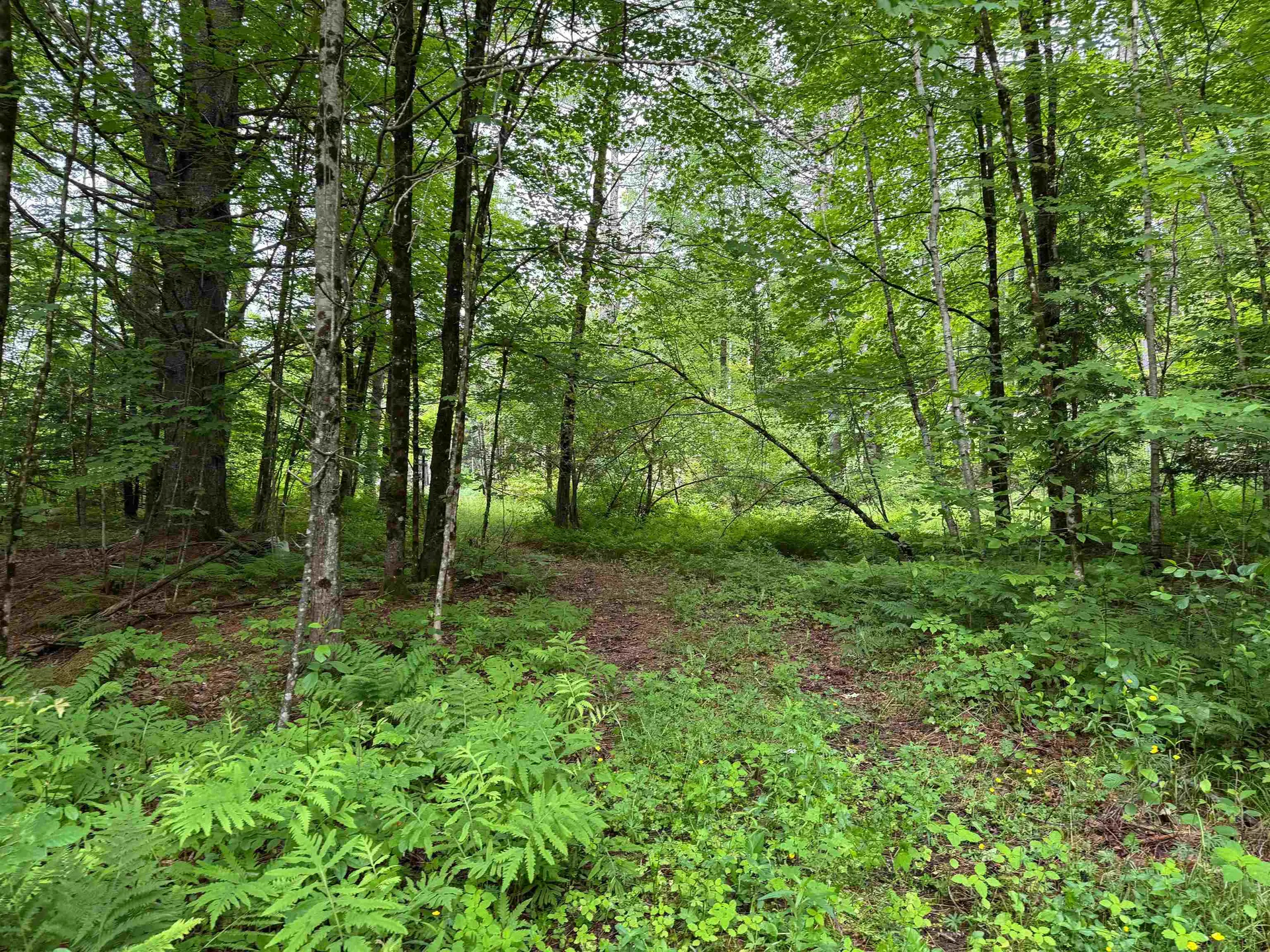 8 Brickyard Road Dover VT 05341