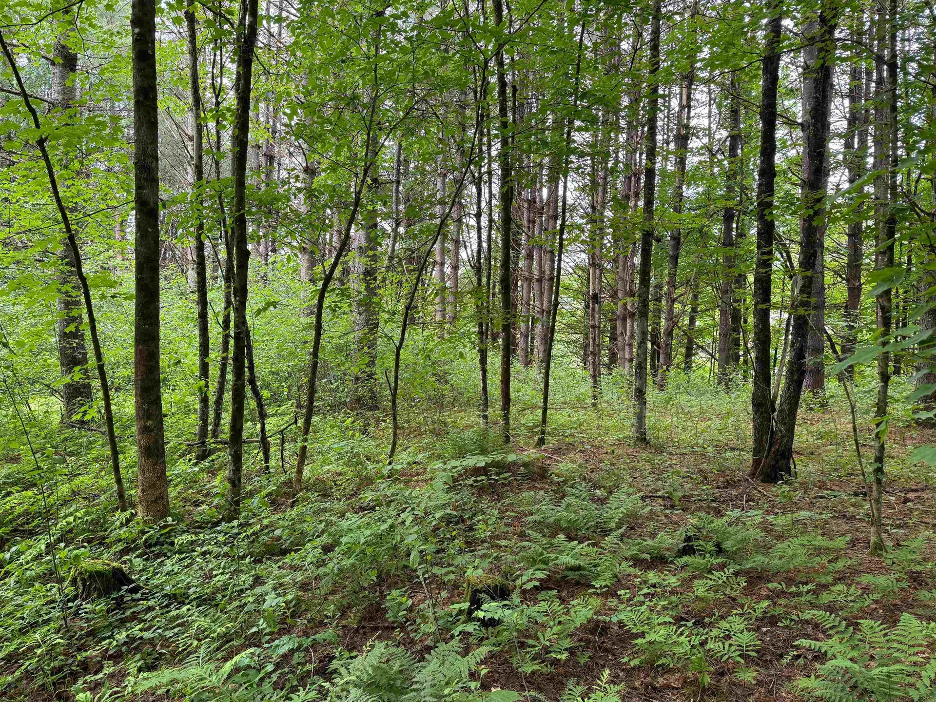 8 Brickyard Road Dover VT 05341