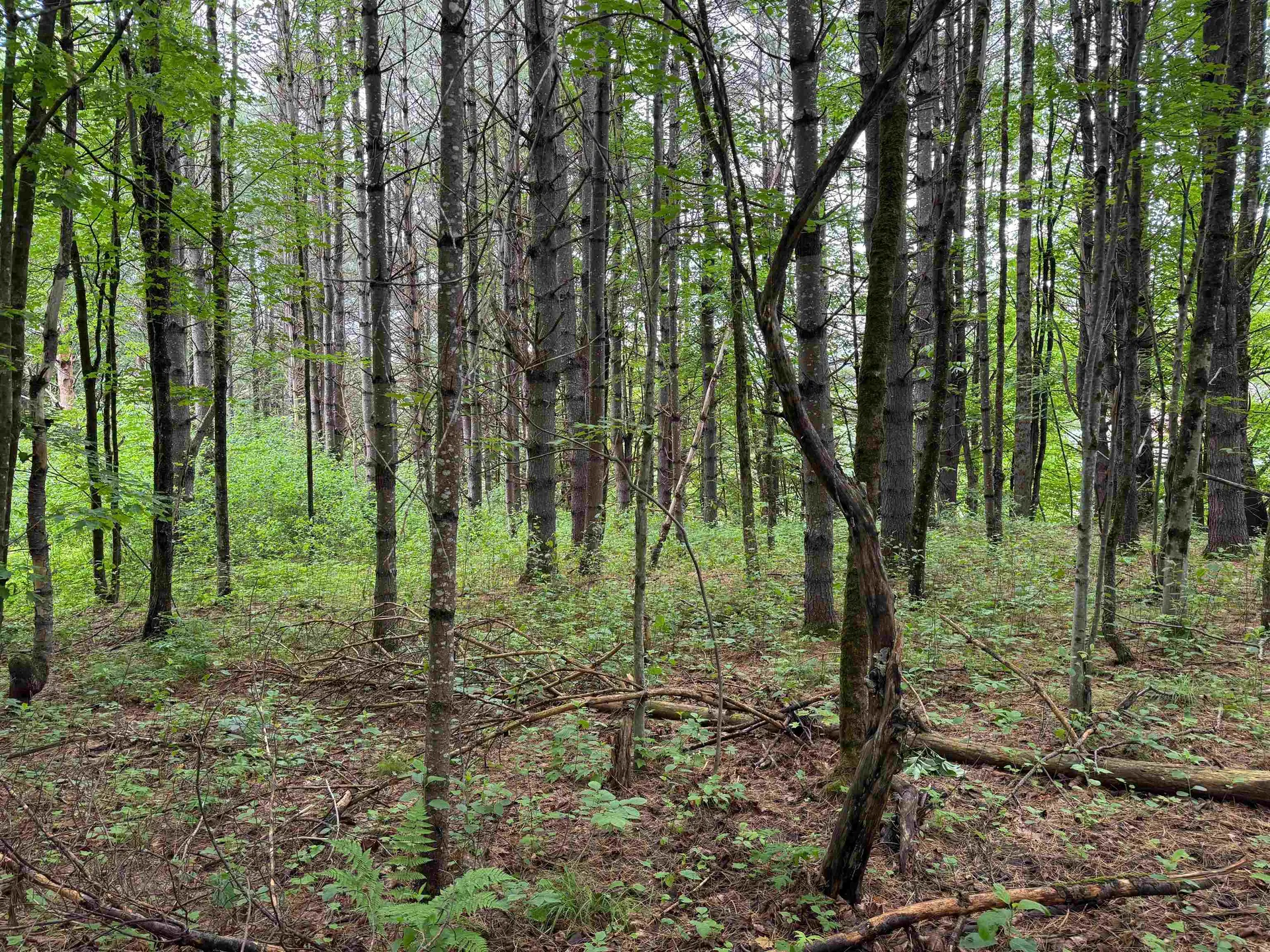 8 Brickyard Road Dover VT 05341