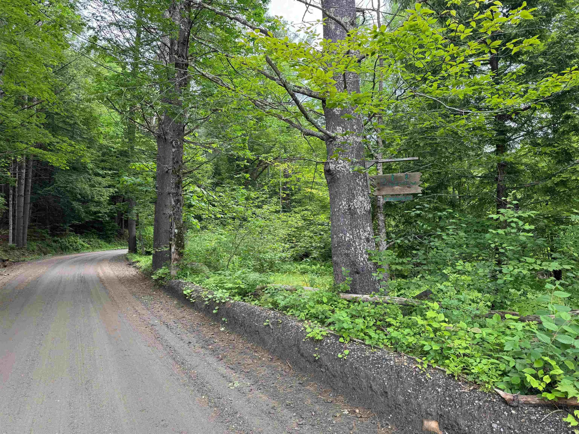 8 Brickyard Road Dover VT 05341