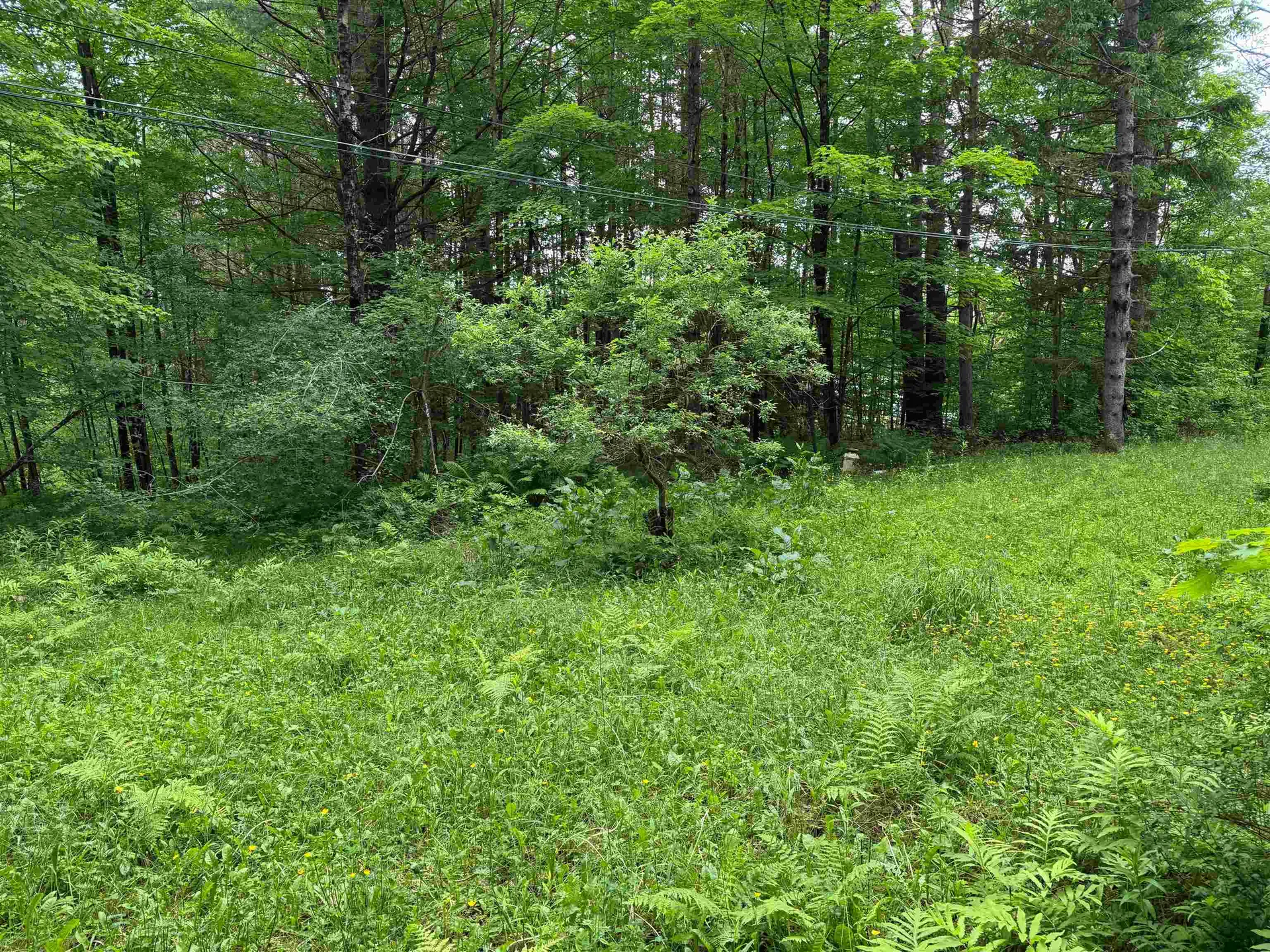 8 Brickyard Road Dover VT 05341