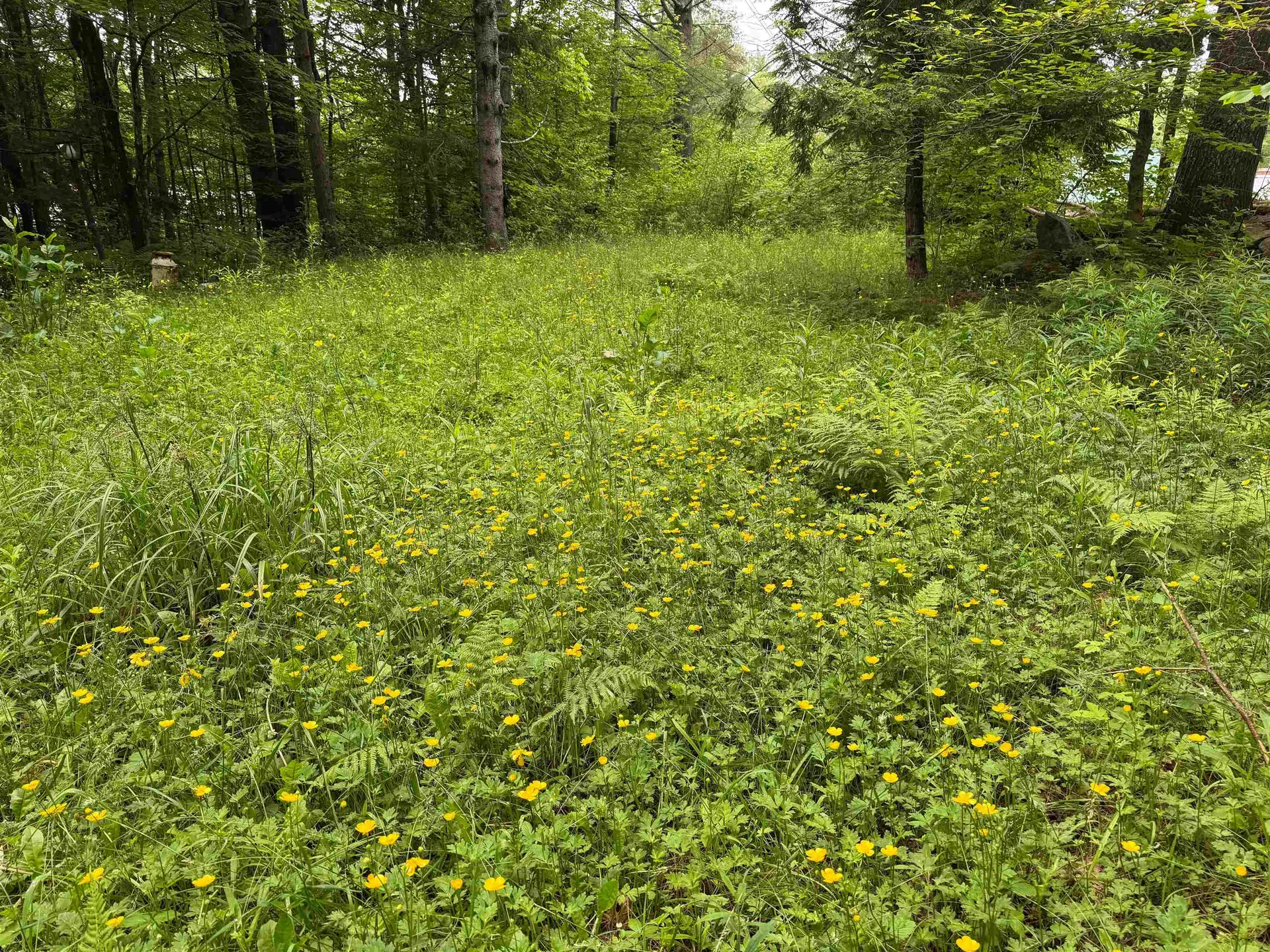 8 Brickyard Road Dover VT 05341