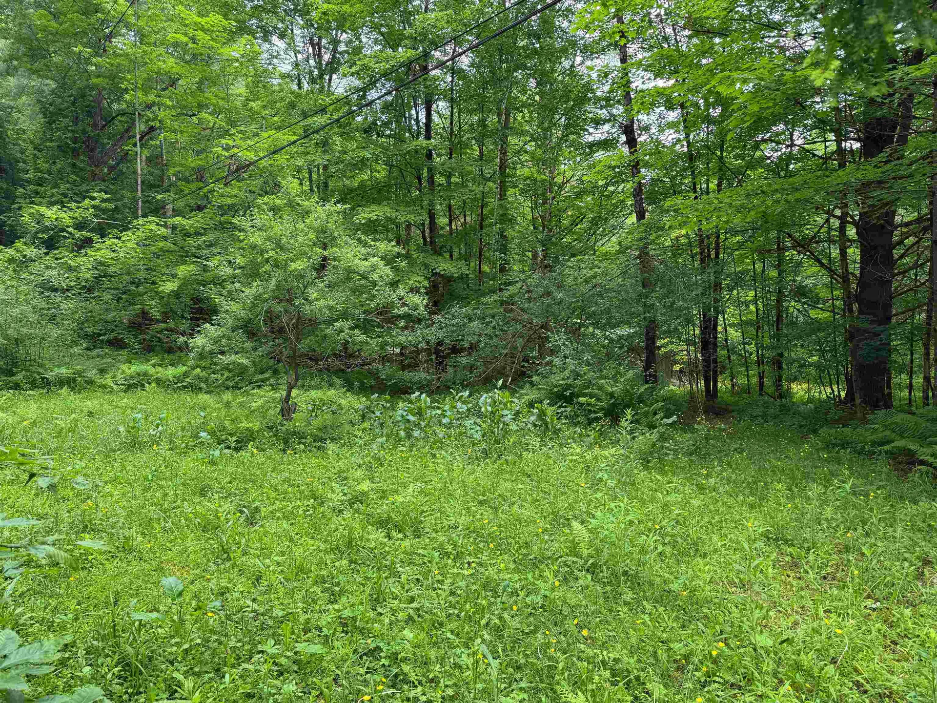 8 Brickyard Road Dover VT 05341