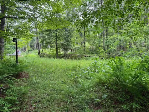 8 Brickyard Road Dover VT 05341