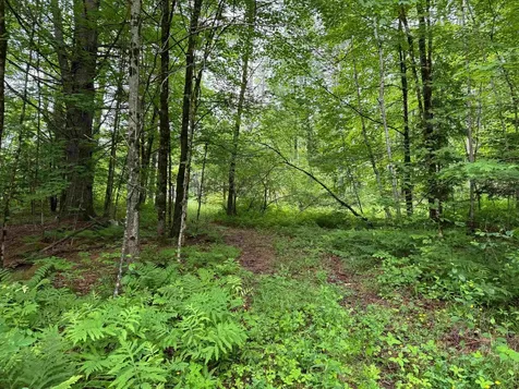 8 Brickyard Road Dover VT 05341