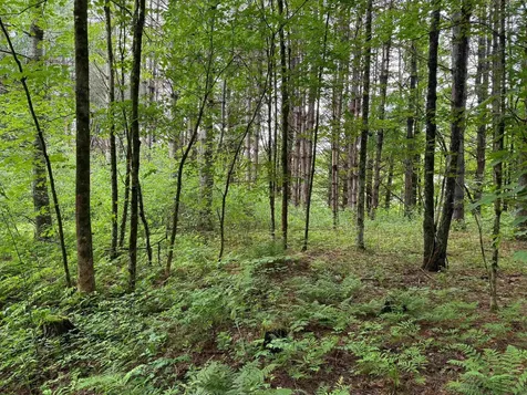 8 Brickyard Road Dover VT 05341