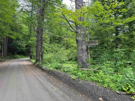 8 Brickyard Road Dover VT 05341