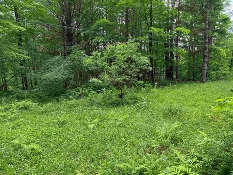 8 Brickyard Road Dover VT 05341