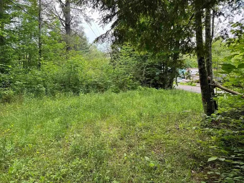 8 Brickyard Road Dover VT 05341