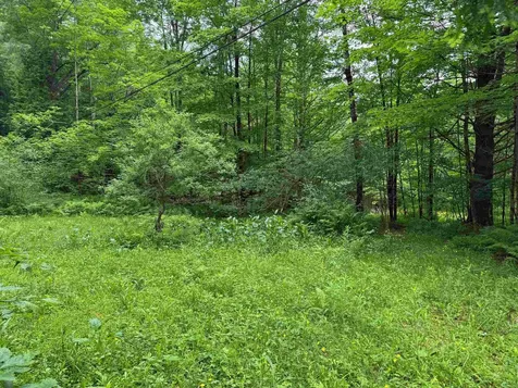 8 Brickyard Road Dover VT 05341