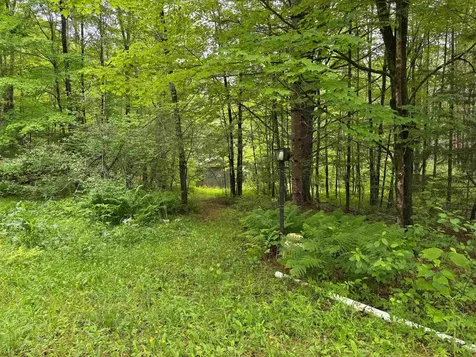 8 Brickyard Road Dover VT 05341