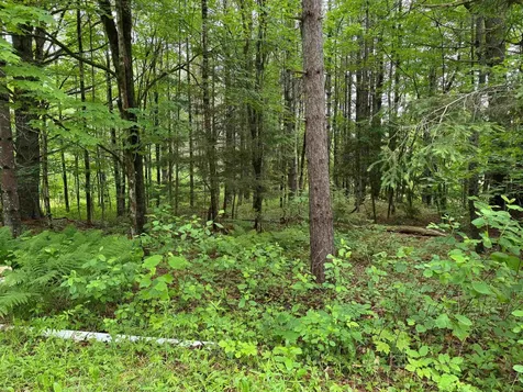 8 Brickyard Road Dover VT 05341