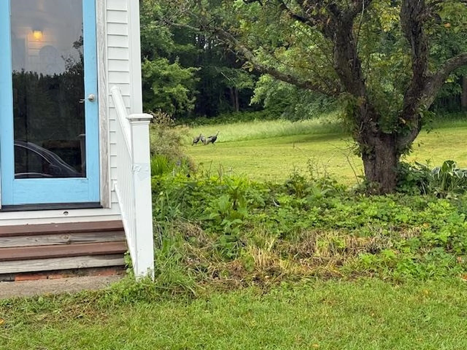 556 Mann Hill Road Pownal VT 05261