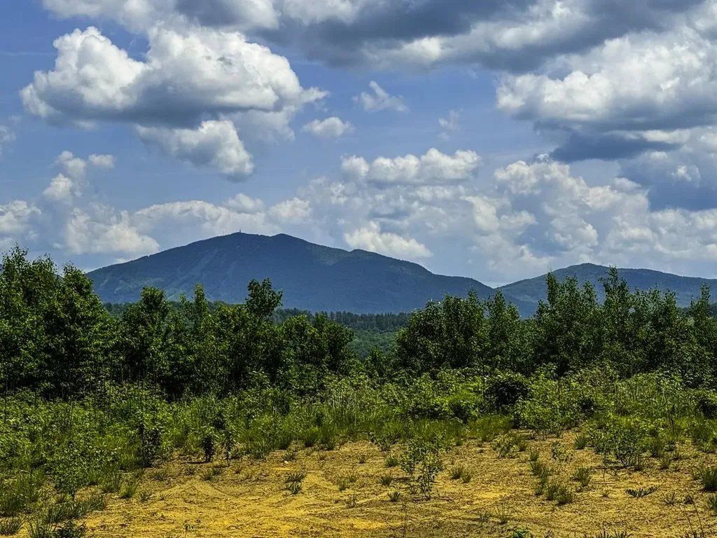 0 Lynburke Road Burke VT 05871