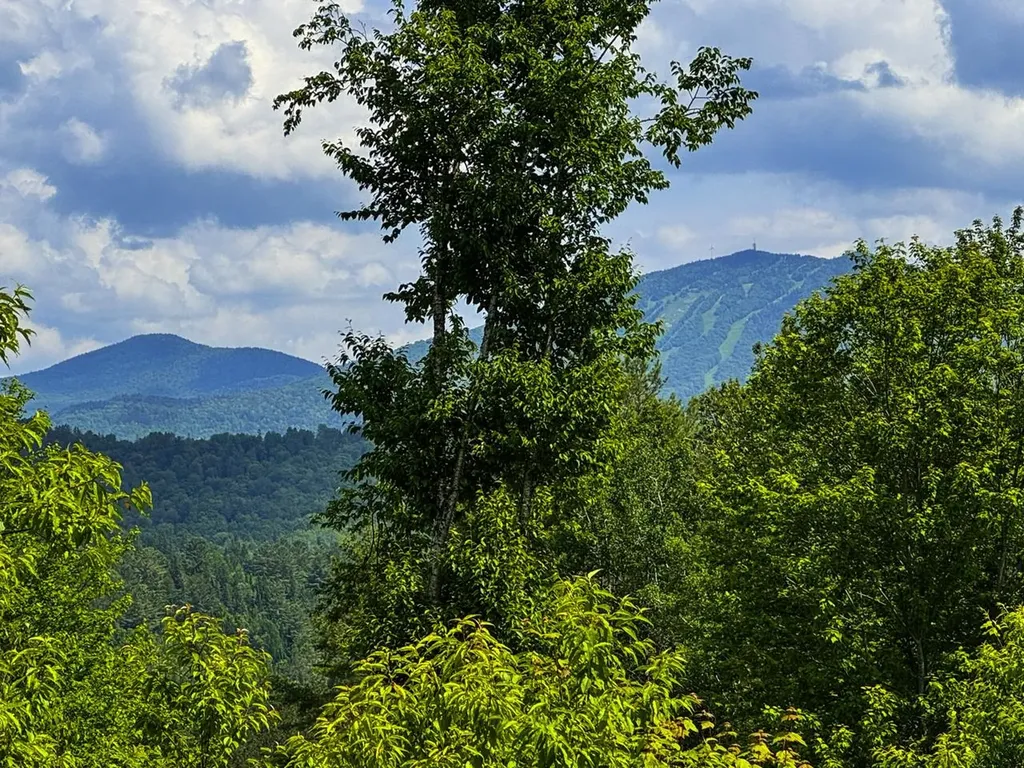 0 Lynburke Road Burke VT 05871