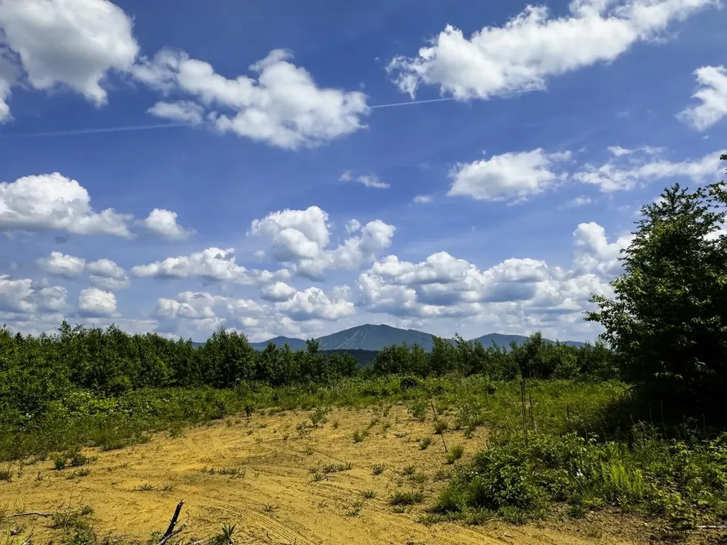 0 Lynburke Road Burke VT 05871