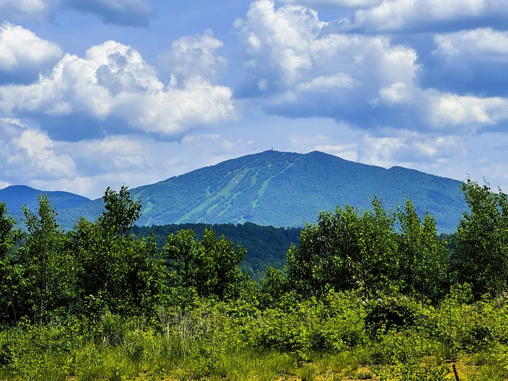 0 Lynburke Road Burke VT 05871