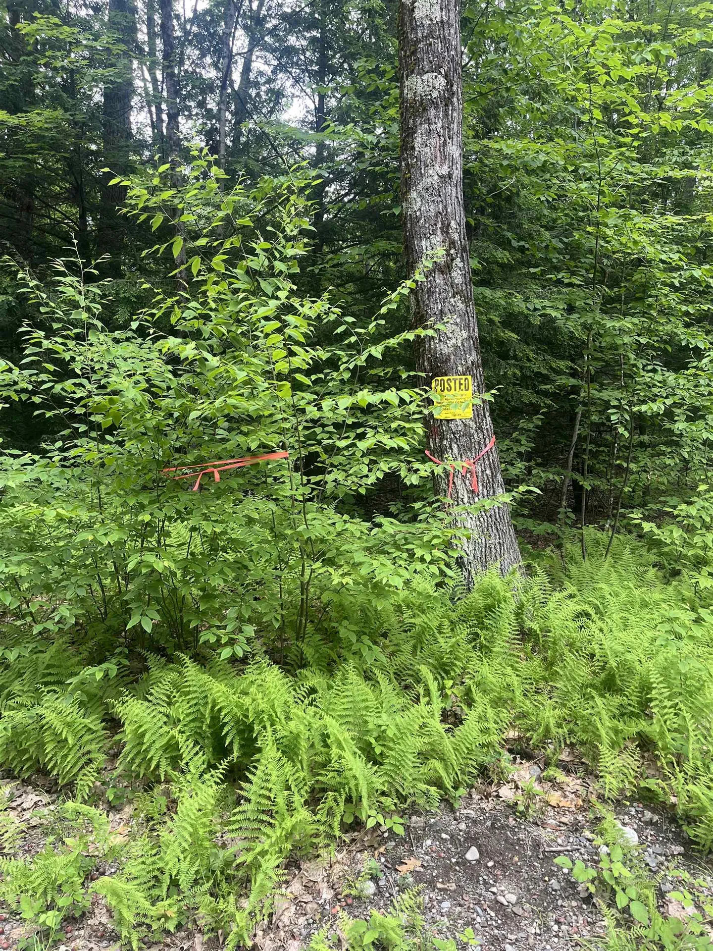 0 Melendy Hill Road Guilford VT 05301