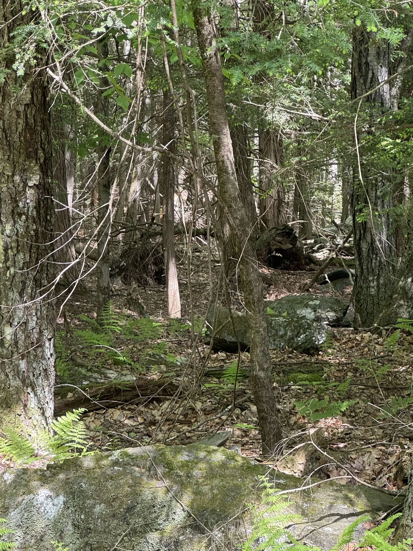 0 Melendy Hill Road Guilford VT 05301