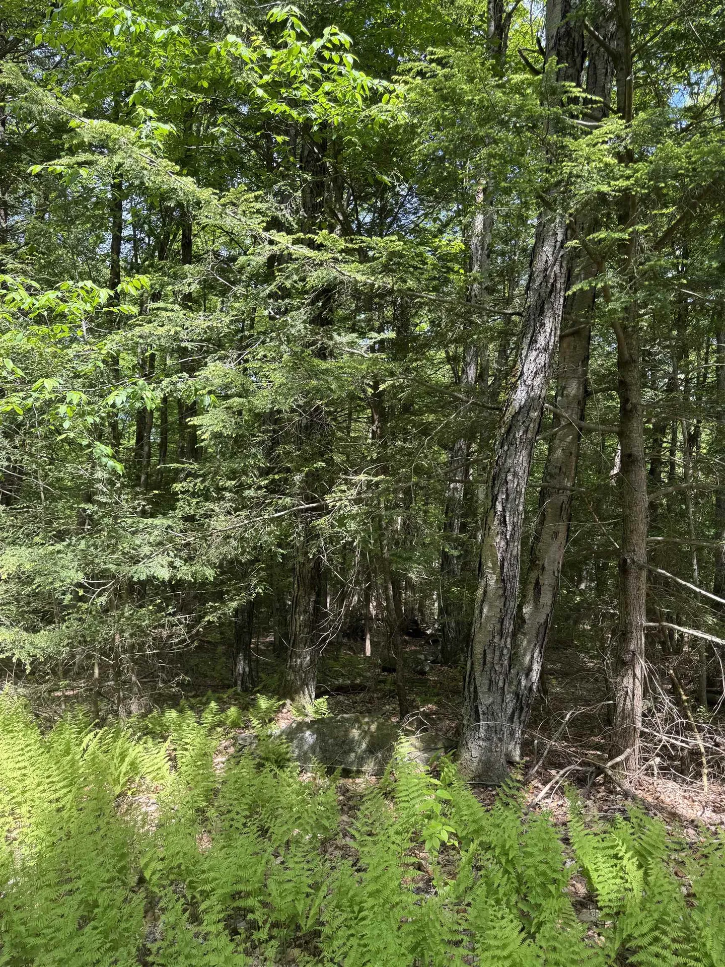 0 Melendy Hill Road Guilford VT 05301