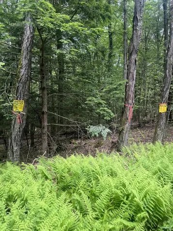 0 Melendy Hill Road Guilford VT 05301