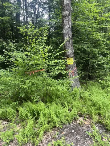 0 Melendy Hill Road Guilford VT 05301