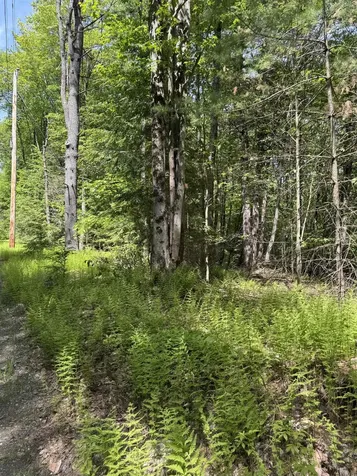 0 Melendy Hill Road Guilford VT 05301
