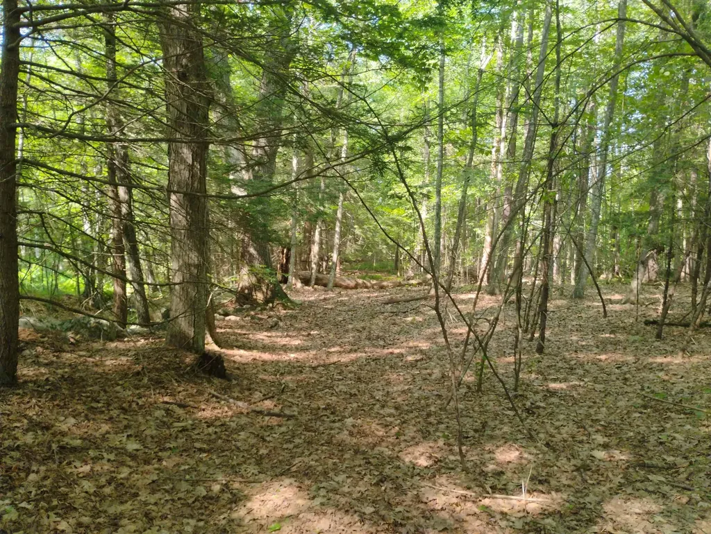 0 East Orchard Street Brattleboro VT 05301