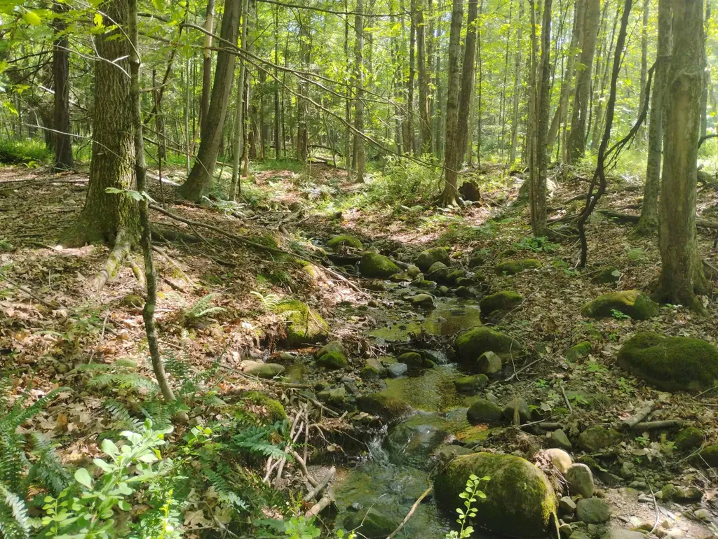 0 East Orchard Street Brattleboro VT 05301