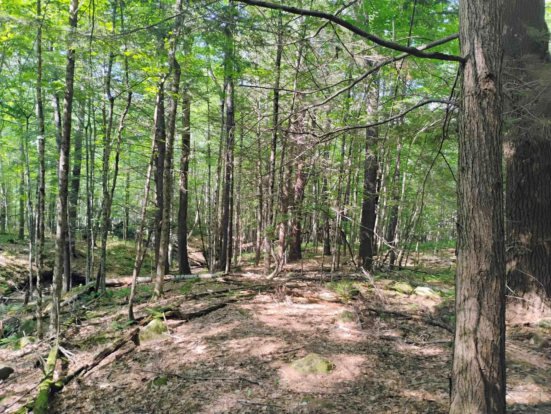 0 East Orchard Street Brattleboro VT 05301