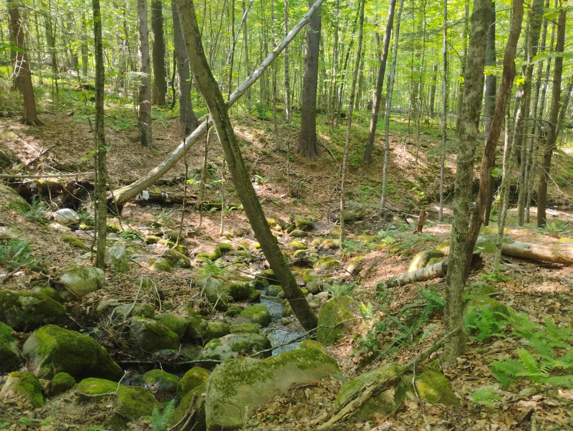 0 East Orchard Street Brattleboro VT 05301