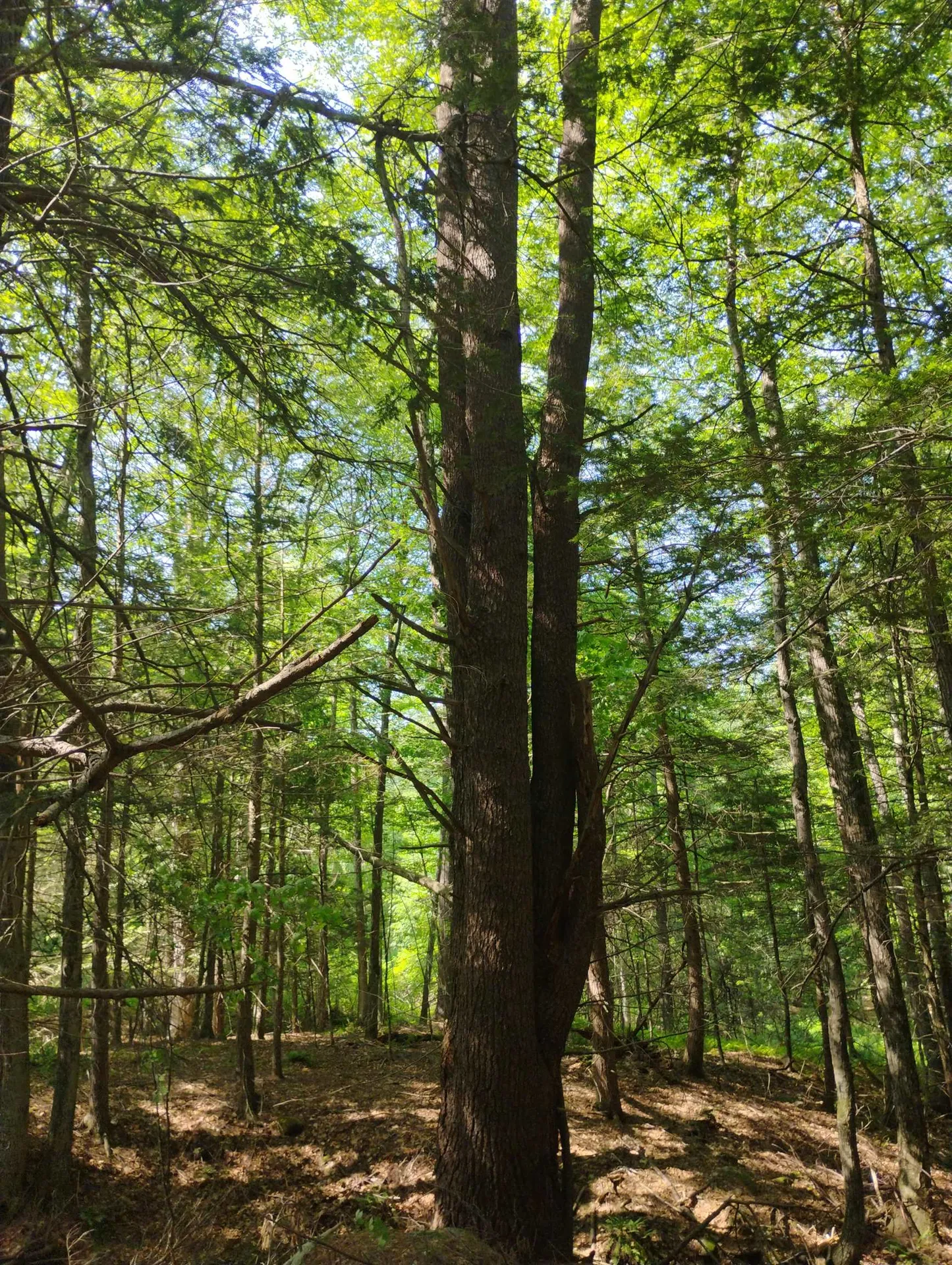 0 East Orchard Street Brattleboro VT 05301