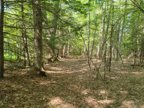 0 East Orchard Street Brattleboro VT 05301